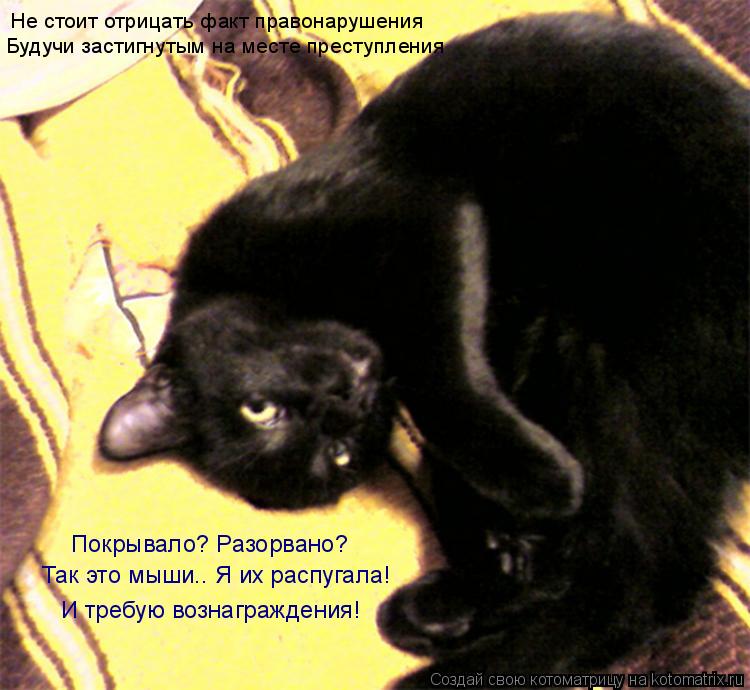 Котоматрица: Не стоит отрицать факт правонарушения Будучи застигнутым на месте преступления Покрывало? Разорвано? Так это мыши.. Я их распугала!  И требу