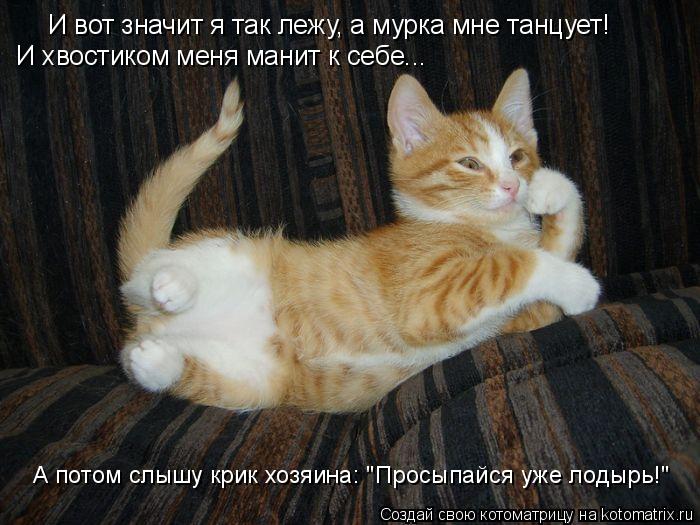 И вот значит я так лежу, а мурка мне танцует! И хвостиком меня манит к себе... А потом слышу крик хо... Котоматрица: И вот значит я так лежу, а мурка мне танцует! И хвостиком меня манит к себе... А потом слышу крик хозяина: "Просыпайся уже лодырь!"