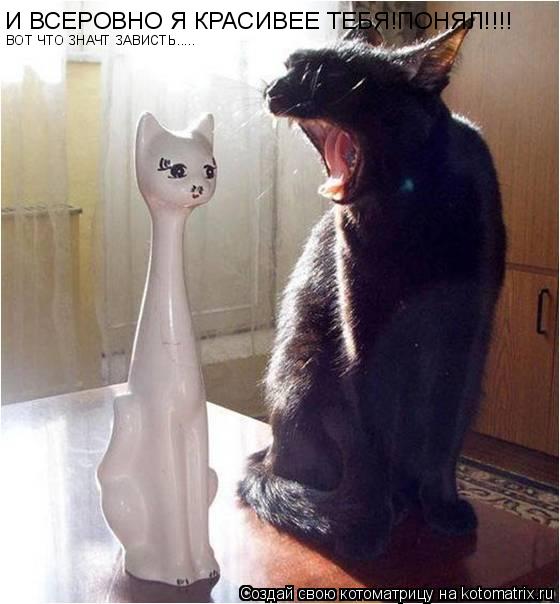 Котоматрица: И ВСЕРОВНО Я КРАСИВЕЕ ТЕБЯ!ПОНЯЛ!!!! ВОТ ЧТО ЗНАЧТ ЗАВИСТЬ.....