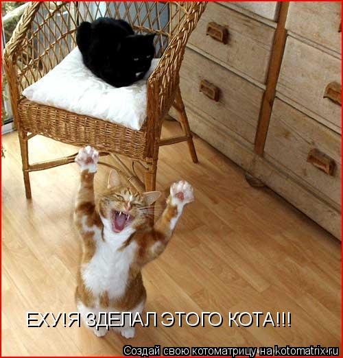 Котоматрица: ЕХУ!Я ЗДЕЛАЛ ЭТОГО КОТА!!!
