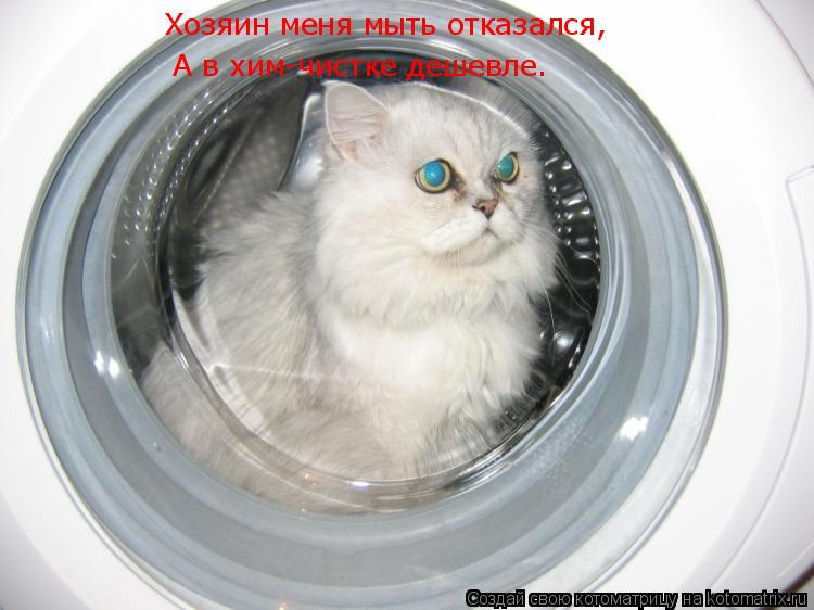 Котоматрица: Хозяин меня мыть отказался, А в хим-чистке дешевле.