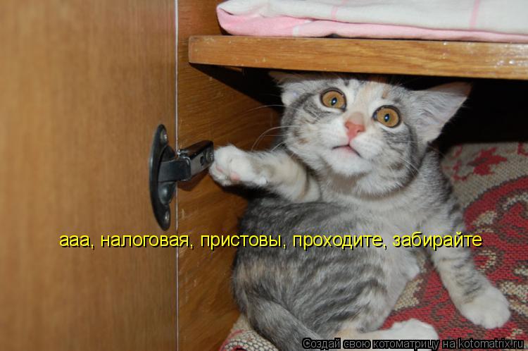 Котоматрица: ааа, налоговая, пристовы, проходите, забирайте