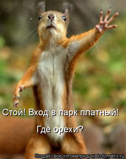 Стой! Вход в парк платный! Где орехи?... Котоматрица: Стой! Вход в парк платный! Где орехи?