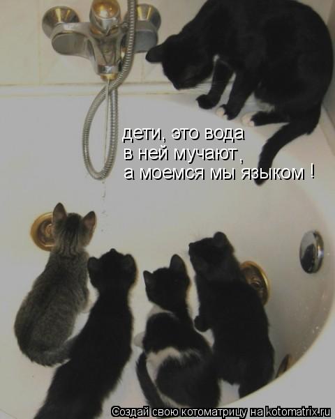 Котоматрица: дети, это вода в ней мучают а моемся мы языком ! ,