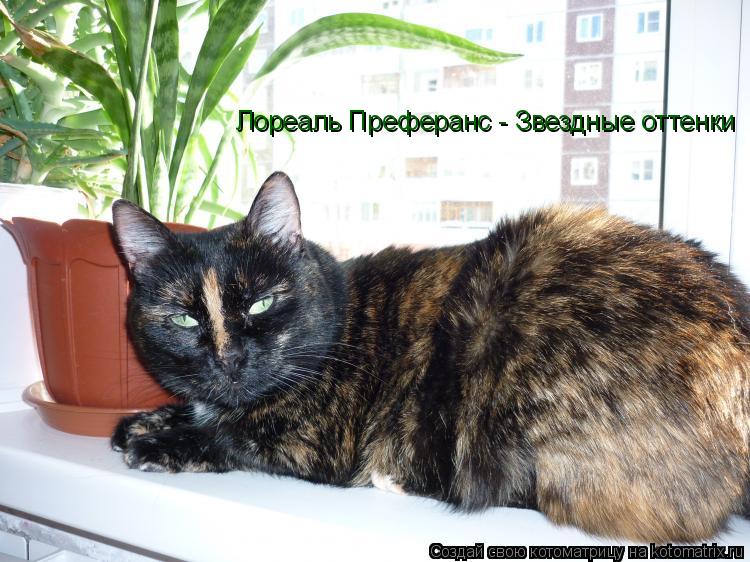 Котоматрица: Лореаль Преферанс - Звездные оттенки