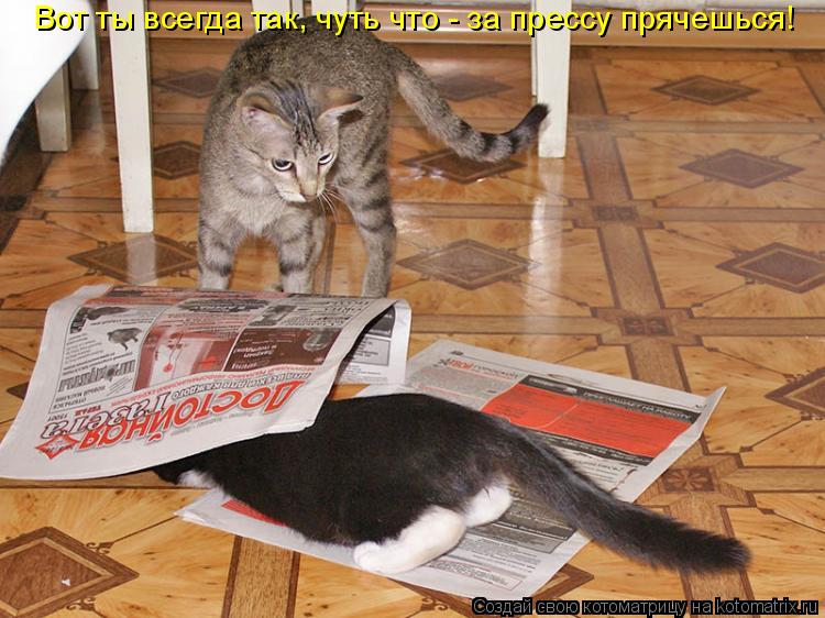 Вот ты всегда так, чуть что - за прессу прячешься!... Котоматрица: Вот ты всегда так, чуть что - за прессу прячешься!