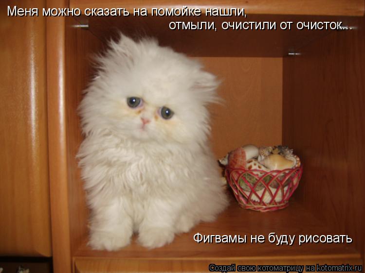 Котоматрица: Меня можно сказать на помойке нашли,  отмыли, очистили от очисток... Фигвамы не буду рисовать
