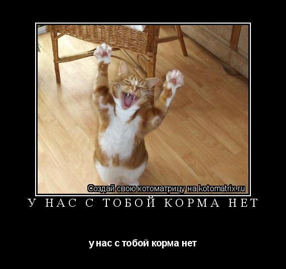 Котоматрица: у нас с тобой корма нет у нас с тобой корма нет