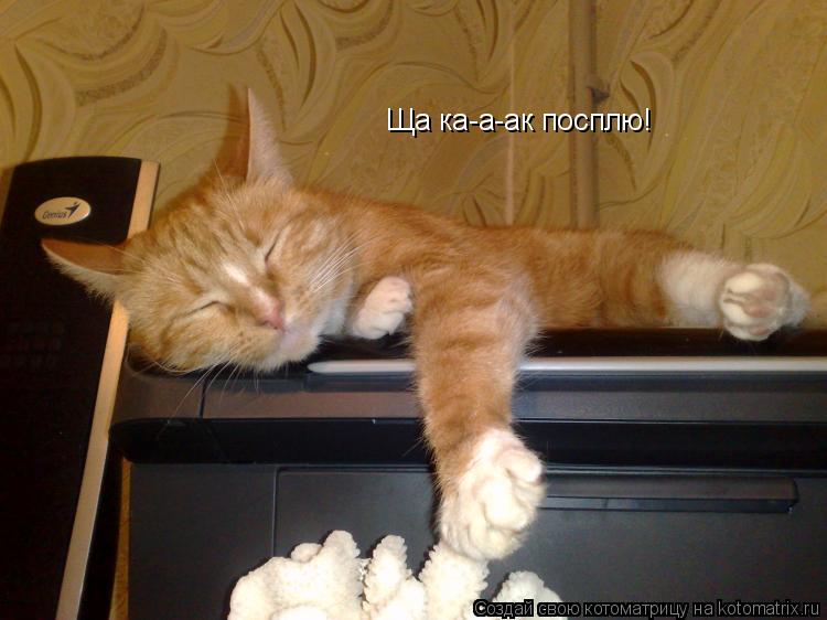 Котоматрица: Ща ка-а-ак посплю!