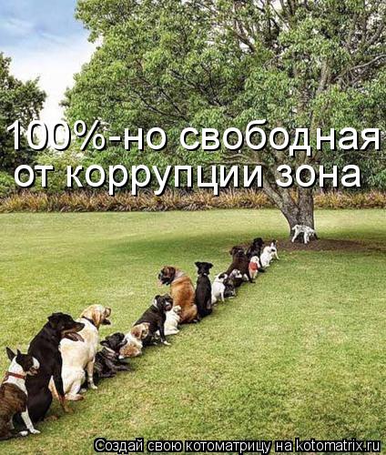 Котоматрица: 100%-но свободная  от коррупции зона