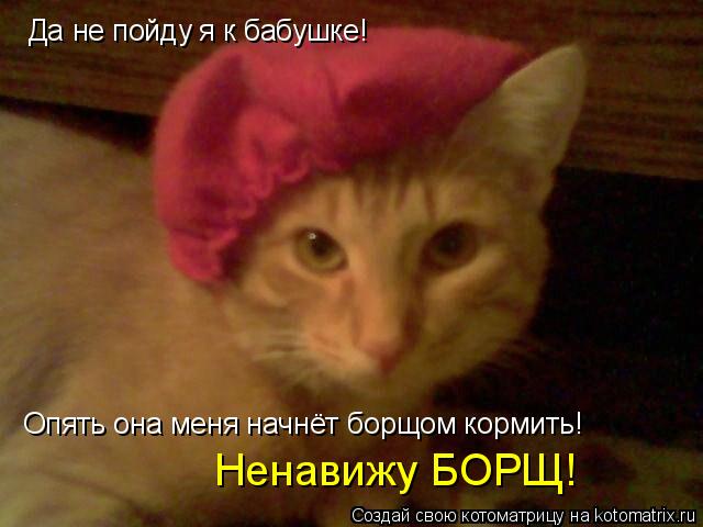Котоматрица: Да не пойду я к бабушке! Опять она меня начнёт борщом кормить! Ненавижу БОРЩ!