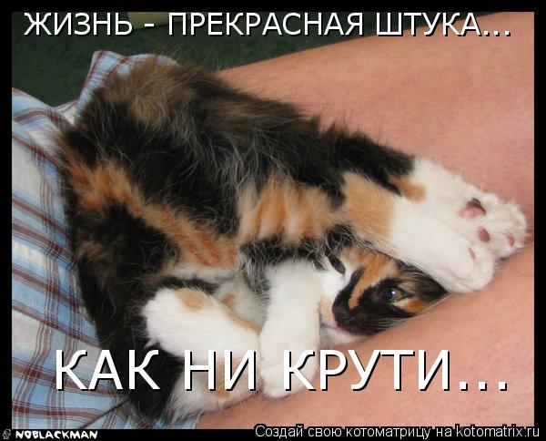 Котоматрица: ЖИЗНЬ - ПРЕКРАСНАЯ ШТУКА... КАК НИ КРУТИ...