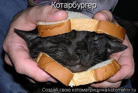 Котоматрица: Котарбургер