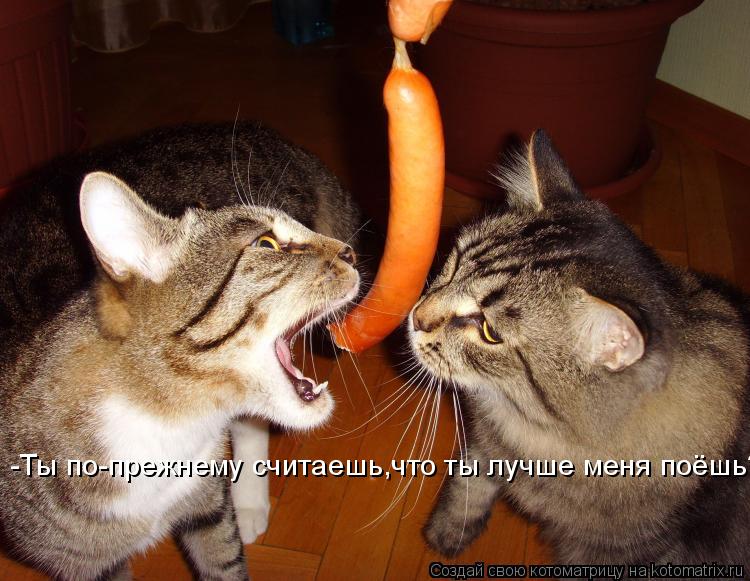 Котоматрица: -Ты по-прежнему считаешь,что ты лучше меня поёшь?