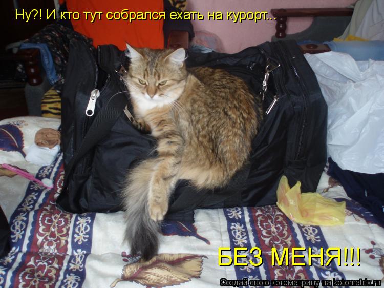 Котоматрица: Ну?! И кто тут собрался ехать на курорт... БЕЗ МЕНЯ!!!