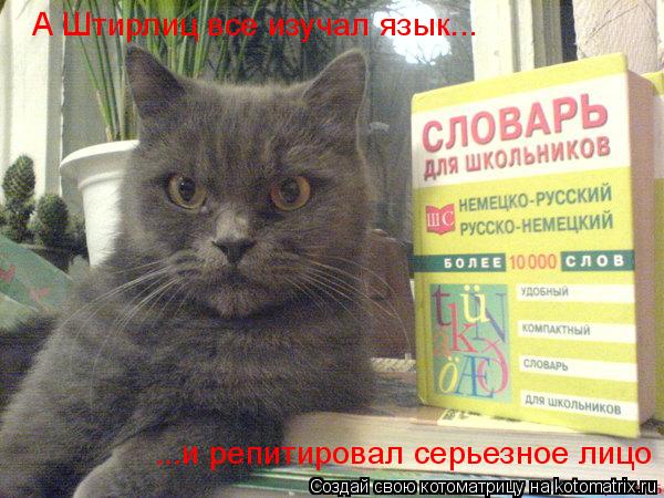 Котоматрица: А Штирлиц все изучал язык... ...и репитировал серьезное лицо