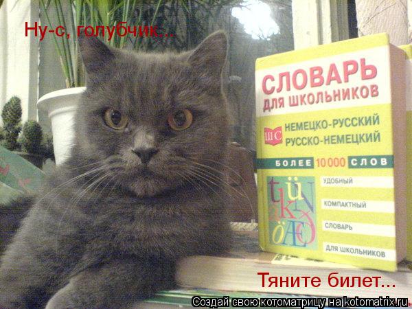 Котоматрица: Ну-с, голубчик... Тяните билет...