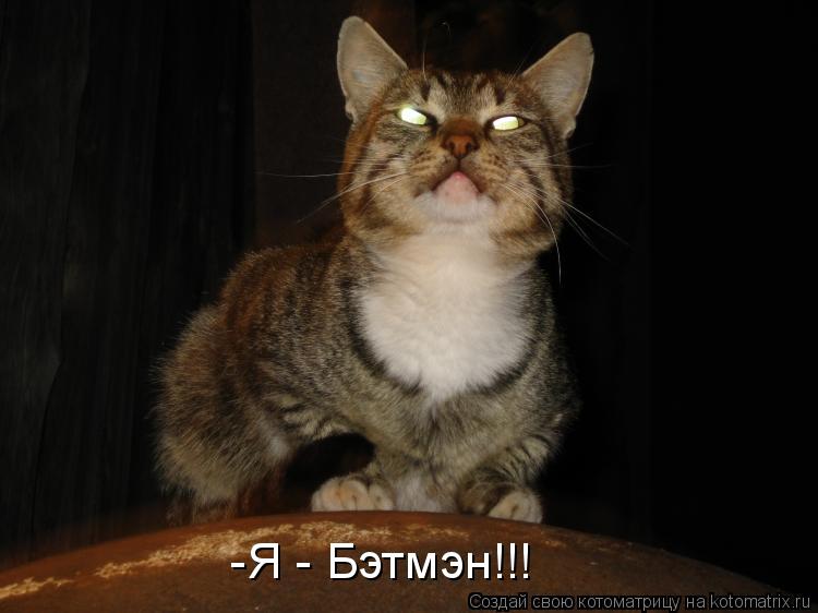 Котоматрица: -Я - Бэтмэн!!!