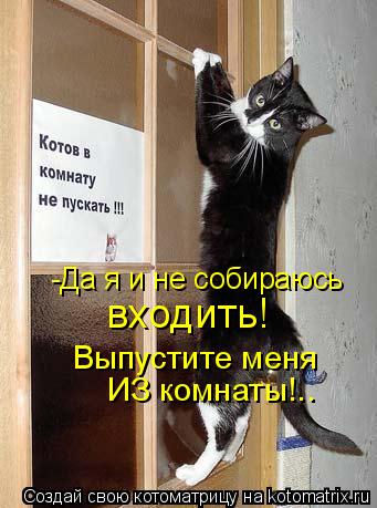 Котоматрица: -Да я и не собираюсь  входить! Выпустите меня ИЗ комнаты!..
