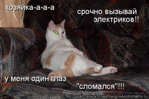 хозяйка-а-а-а срочно вызывай электриков!! у меня один глаз "сломался"!!!... Котоматрица: хозяйка-а-а-а срочно вызывай электриков!! у меня один глаз "сломался"!!!