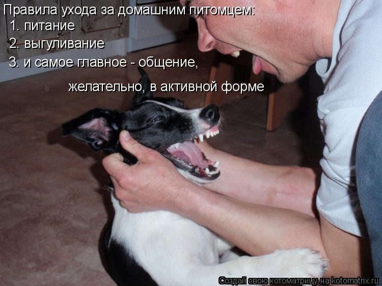 Правила ухода за домашним питомцем: 1. питание 2. выгуливание 3. и самое главное - общение, желател... Котоматрица: Правила ухода за домашним питомцем: 1. питание 2. выгуливание 3. и самое главное - общение, желательно, в активной форме