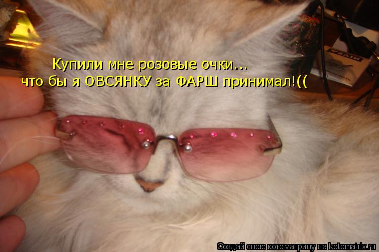 Котоматрица: что бы я ОВСЯНКУ за ФАРШ принимал!(( Купили мне розовые очки...