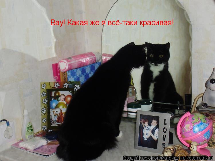 Котоматрица: Вау! Какая же я всё-таки красивая!