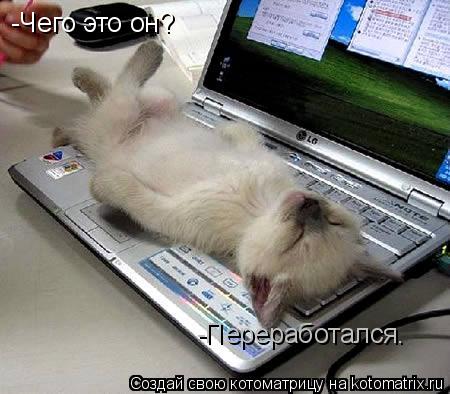 Котоматрица: -Чего это он? -Переработался.