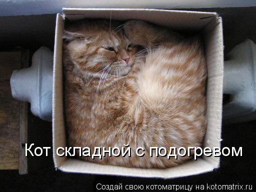 Котоматрица: Кот складной с подогревом