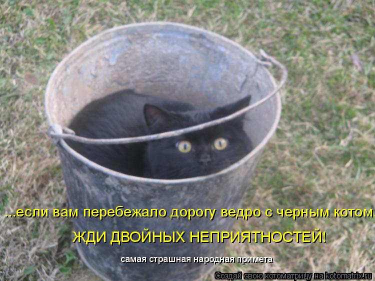 ...если вам перебежало дорогу ведро с черным котом, ЖДИ ДВОЙНЫХ НЕПРИЯТНОСТЕЙ! самая страшная народна... Котоматрица: ...если вам перебежало дорогу ведро с черным котом, ЖДИ ДВОЙНЫХ НЕПРИЯТНОСТЕЙ! самая страшная народная примета