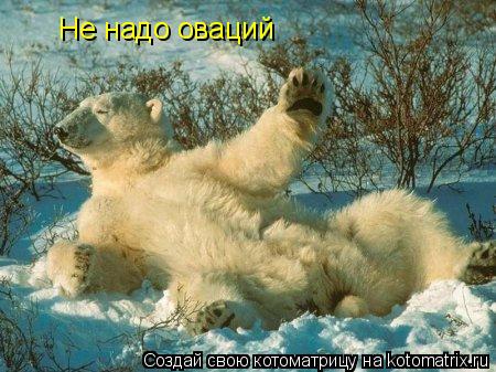 Котоматрица: Не надо оваций
