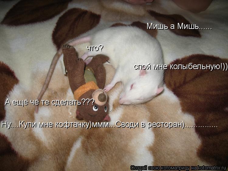 Котоматрица: Мишь а Мишь...... что? спой мне колыбельную!))) А ещё чё те сделать??? Ну....Купи мне кофтачку)ммм...Своди в ресторан)...............
