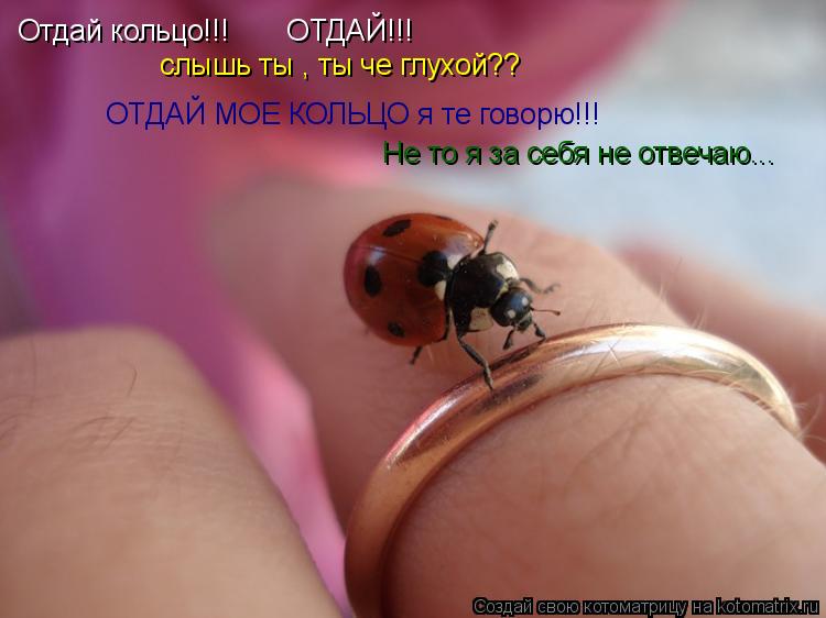 Котоматрица: слышь ты . ты че глухой слышь ты , ты че глухой?? ОТДАЙ МОЕ КОЛЬЦО я те говорю!!! Отдай кольцо!!!       ОТДАЙ!!! Не то я за себя не отвечаю...