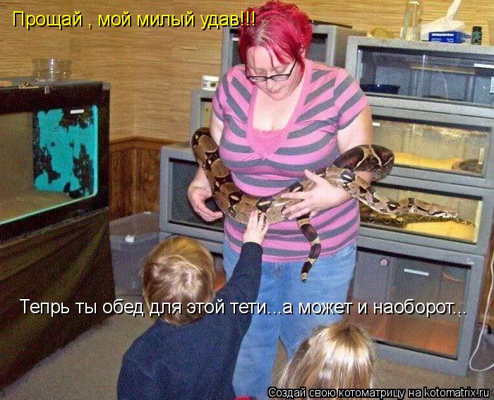 Котоматрица: Прощай , мой милый удав!!! Тепрь ты обед для этой тети...а может и наоборот...