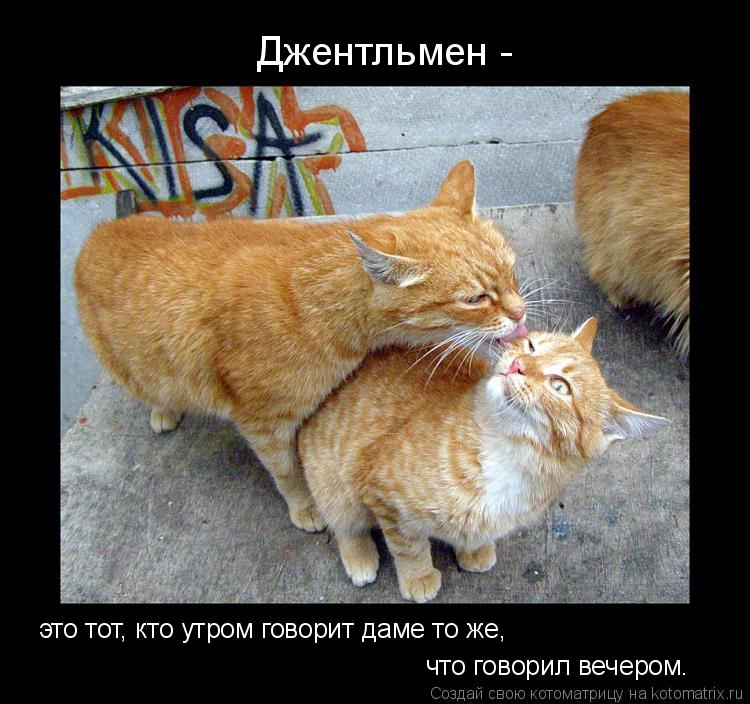 Котоматрица: Джентльмен - это тот, кто утром говорит даме то же,  что говорил вечером.