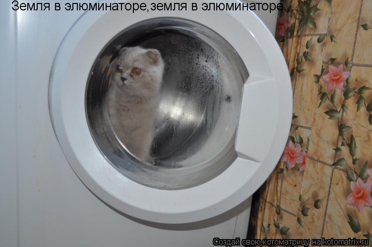 Котоматрица: Земля в элюминаторе,земля в элюминаторе....