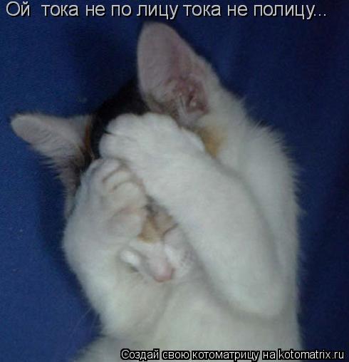 Котоматрица: Ой  тока не по лицу тока не полицу... Ой  тока не по лицу тока не полицу...