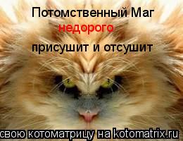 Котоматрица: Потомственный Маг недорого присушит и отсушит