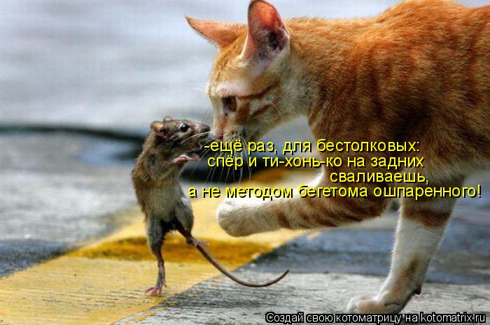 Котоматрица: -ещё раз, для бестолковых: спёр и ти-хонь-ко на задних  сваливаешь, а не методом бегетома ошпаренного!