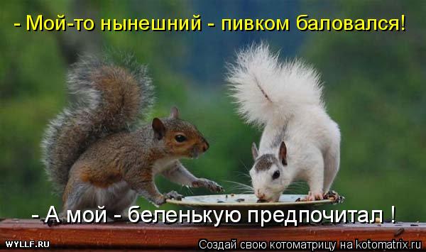 Котоматрица: - А мой - беленькую предпочитал ! - Мой-то нынешний - пивком баловался!