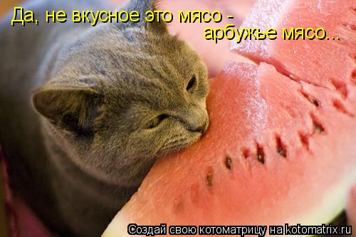 Котоматрица: Да, не вкусное это мясо - арбужье мясо...