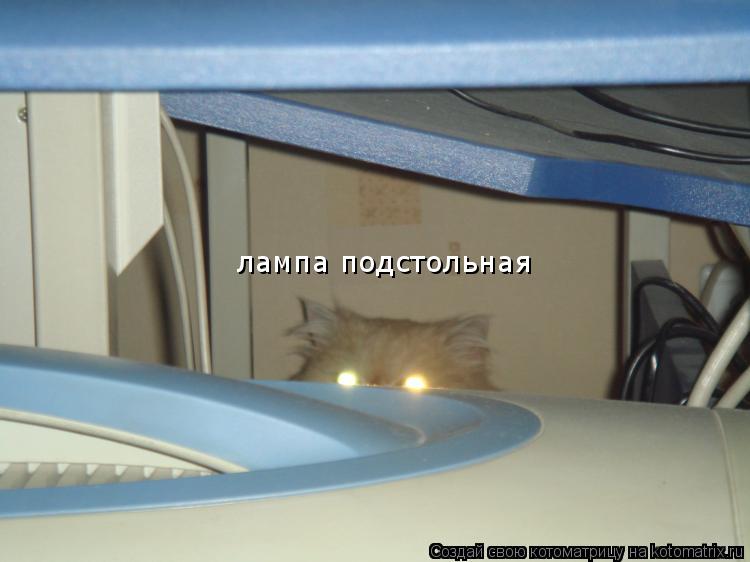 Котоматрица: лампа подстольная