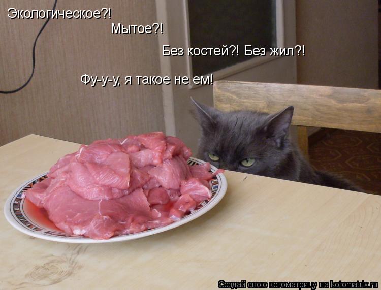 Котоматрица: Экологическое?! Мытое?! Без костей?! Без жил?! Фу-у-у, я такое не ем!