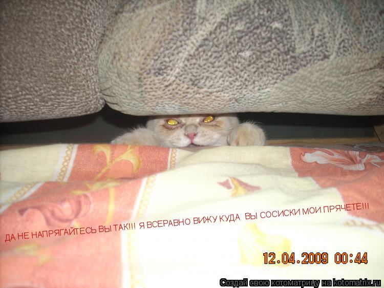 Котоматрица: ДА НЕ НАПРЯГАЙТЕСЬ ВЫ ТАК!!! Я ВСЕРАВНО ВИЖУ КУДА  ВЫ СОСИСКИ МОИ ПРЯЧЕТЕ!!!