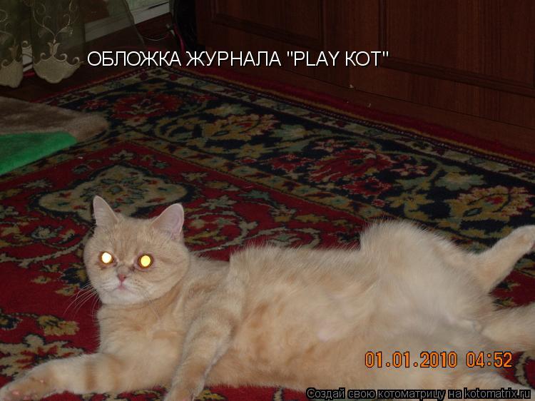 ОБЛОЖКА ЖУРНАЛА "PLAY КОТ"... Котоматрица: ОБЛОЖКА ЖУРНАЛА "PLAY КОТ"