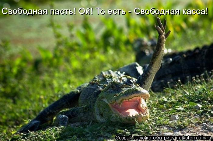 Котоматрица: Свободная пасть! Ой! То есть - Свободная касса!
