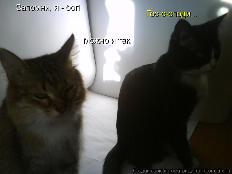 Котоматрица: Запомни, я - бог! Гос-с-споди... Можно и так.