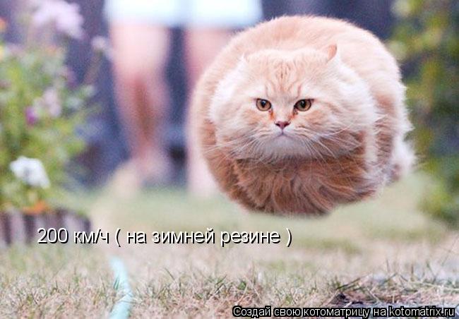 Котоматрица: 200 км/ч ( на зимней резине )