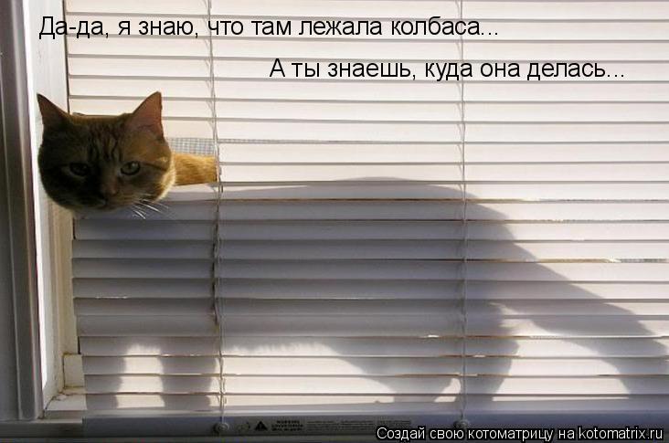 Котоматрица: Да-да, я знаю, что там лежала колбаса... А ты знаешь, куда она делась...
