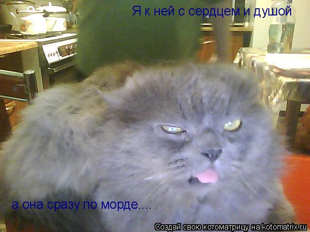 Котоматрица: Я к ней с сердцем и душой а она сразу по морде....